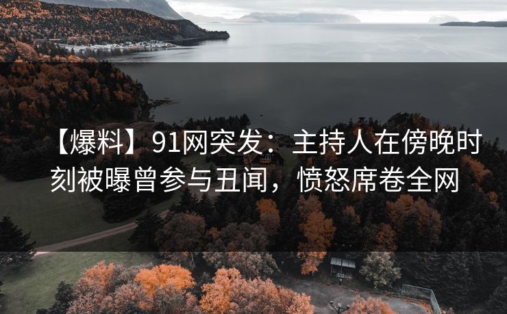 【爆料】91网突发：主持人在傍晚时刻被曝曾参与丑闻，愤怒席卷全网