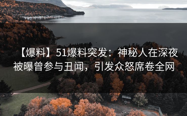 【爆料】51爆料突发：神秘人在深夜被曝曾参与丑闻，引发众怒席卷全网