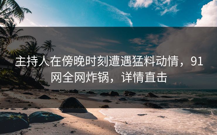 主持人在傍晚时刻遭遇猛料动情，91网全网炸锅，详情直击