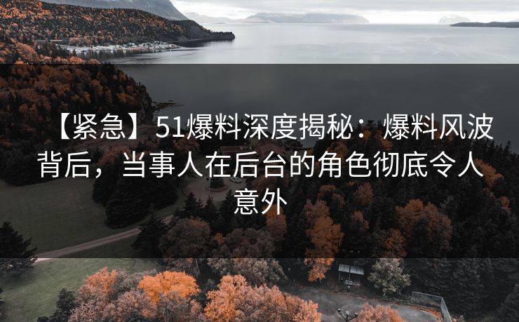 【紧急】51爆料深度揭秘：爆料风波背后，当事人在后台的角色彻底令人意外