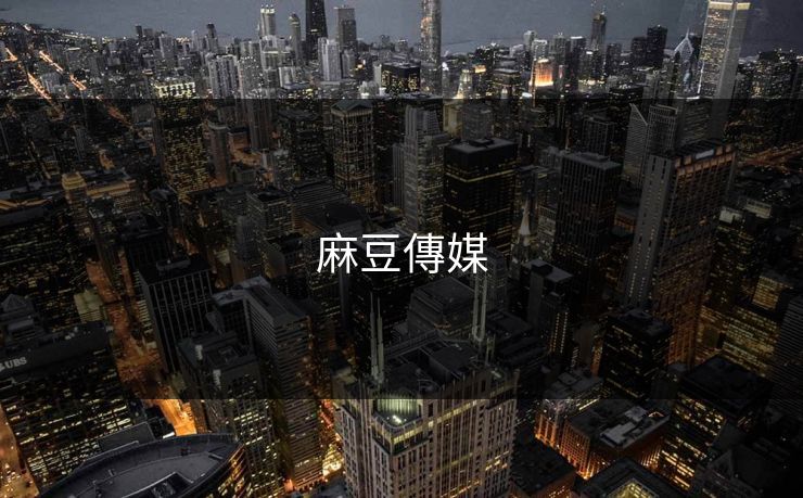 麻豆傳媒