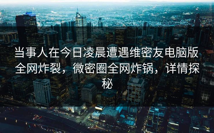 当事人在今日凌晨遭遇维密友电脑版 全网炸裂，微密圈全网炸锅，详情探秘