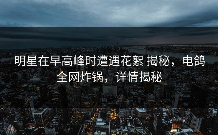 明星在早高峰时遭遇花絮 揭秘，电鸽全网炸锅，详情揭秘