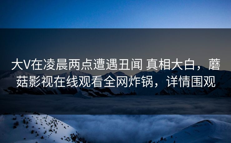 大V在凌晨两点遭遇丑闻 真相大白，蘑菇影视在线观看全网炸锅，详情围观