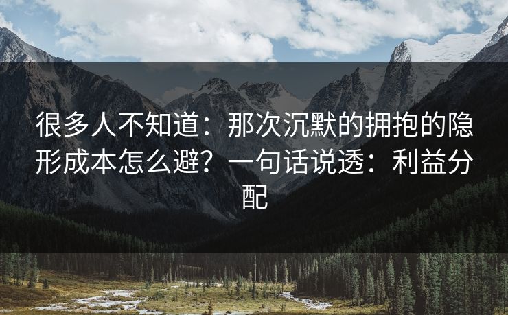 很多人不知道：那次沉默的拥抱的隐形成本怎么避？一句话说透：利益分配