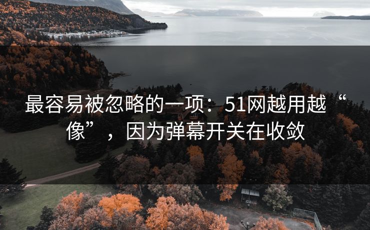 最容易被忽略的一项：51网越用越“像”，因为弹幕开关在收敛