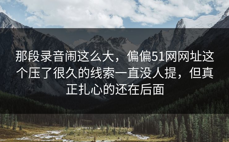 那段录音闹这么大，偏偏51网网址这个压了很久的线索一直没人提，但真正扎心的还在后面